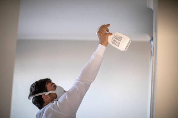 Best Certified Mold Removal  in Wildwood, FL