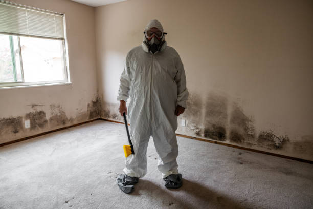 Mold Removal Process in Wildwood, FL